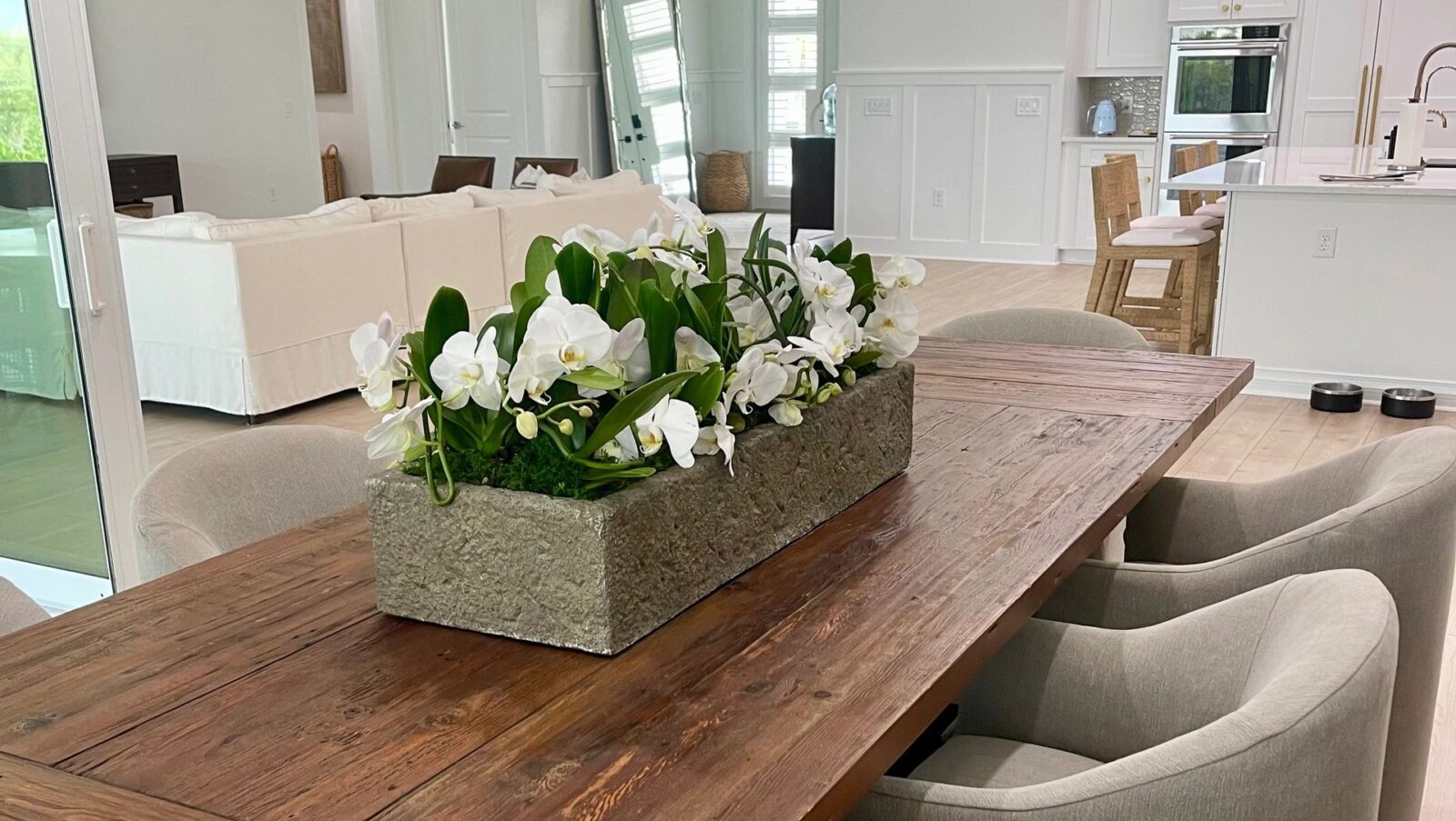 Orchid arrangement, Sarasota
