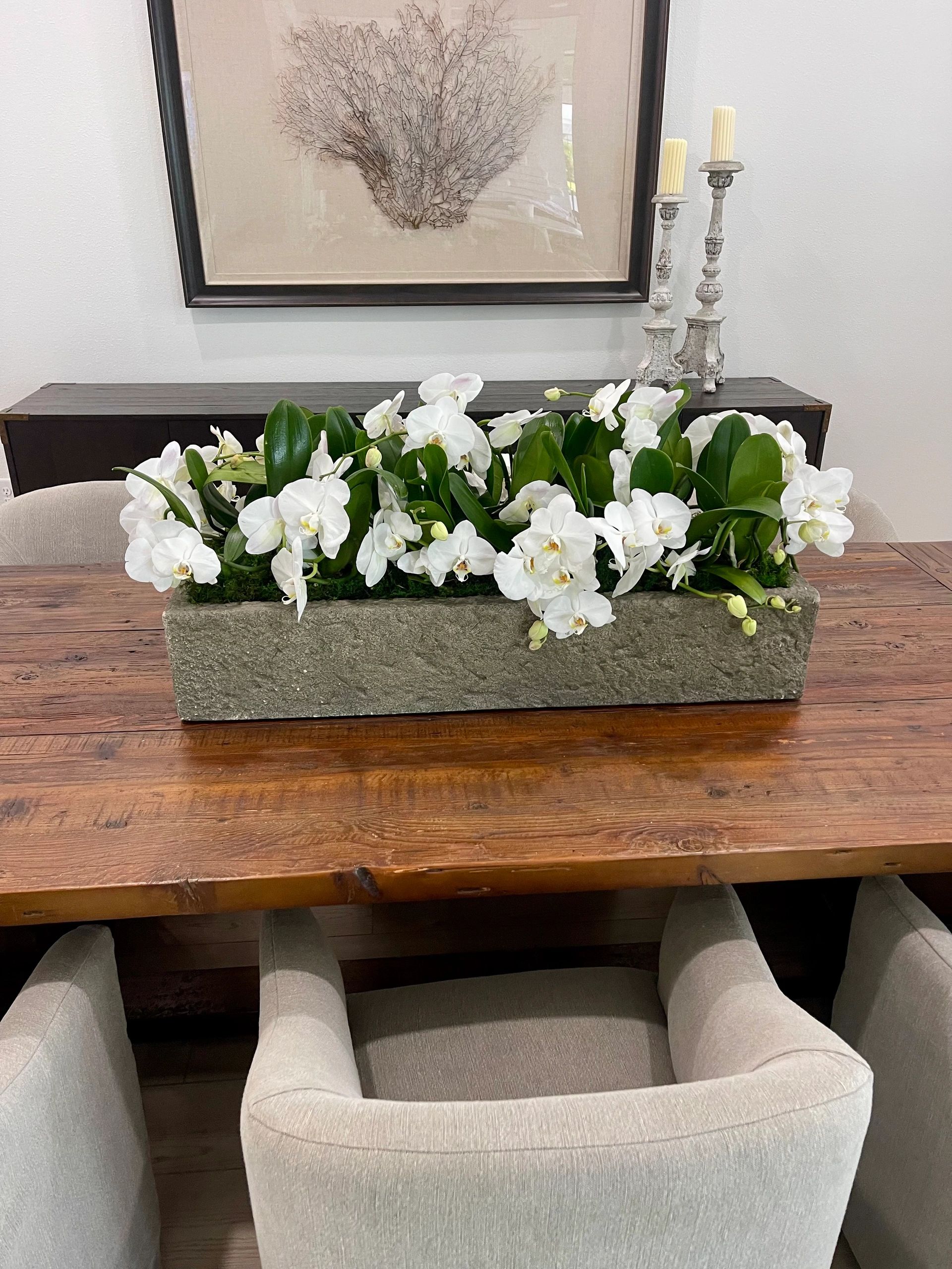 Orchid arrangement, Sarasota