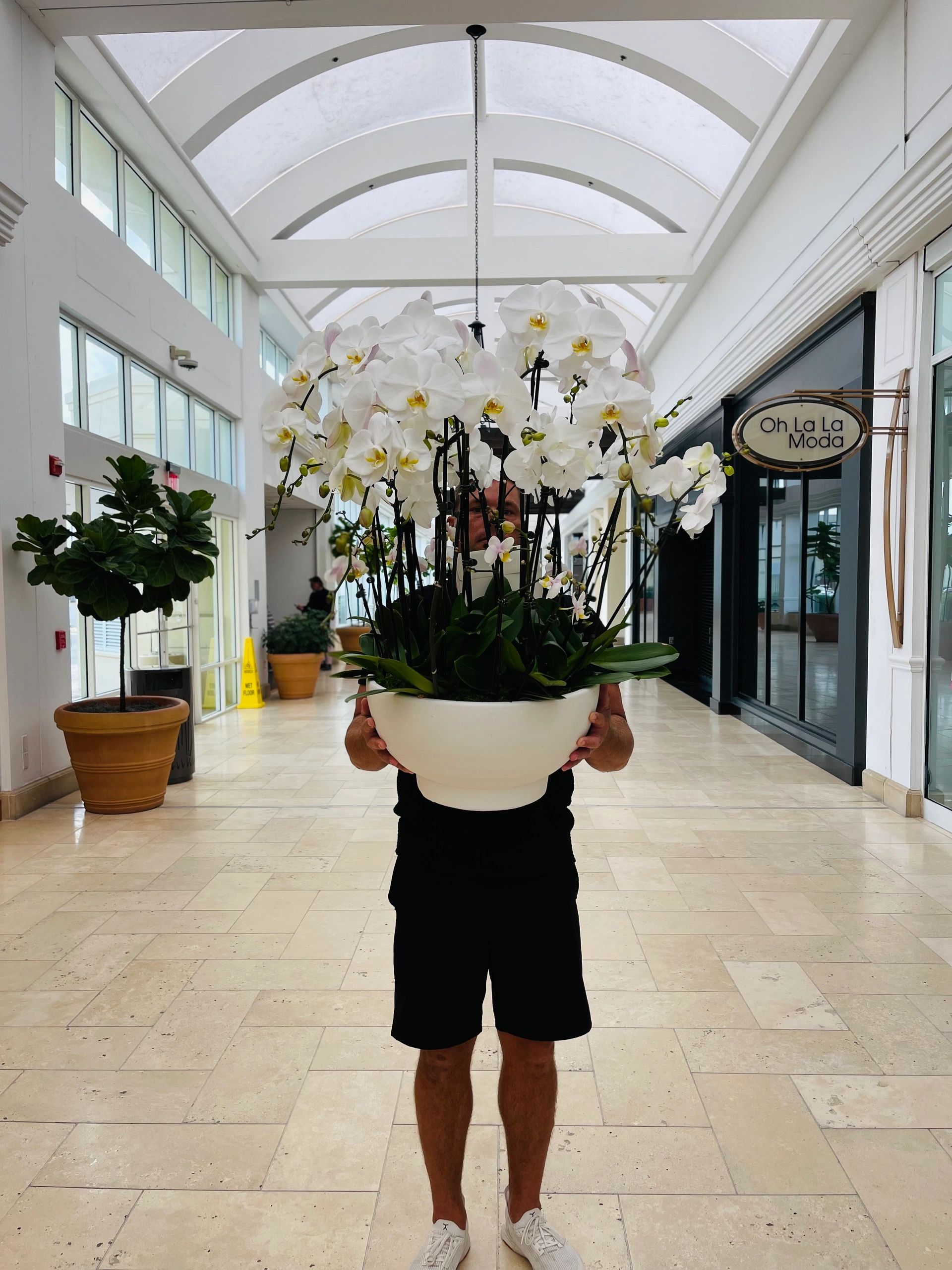 Custom orchid centerpiece in a low bowl for a Sarasota event