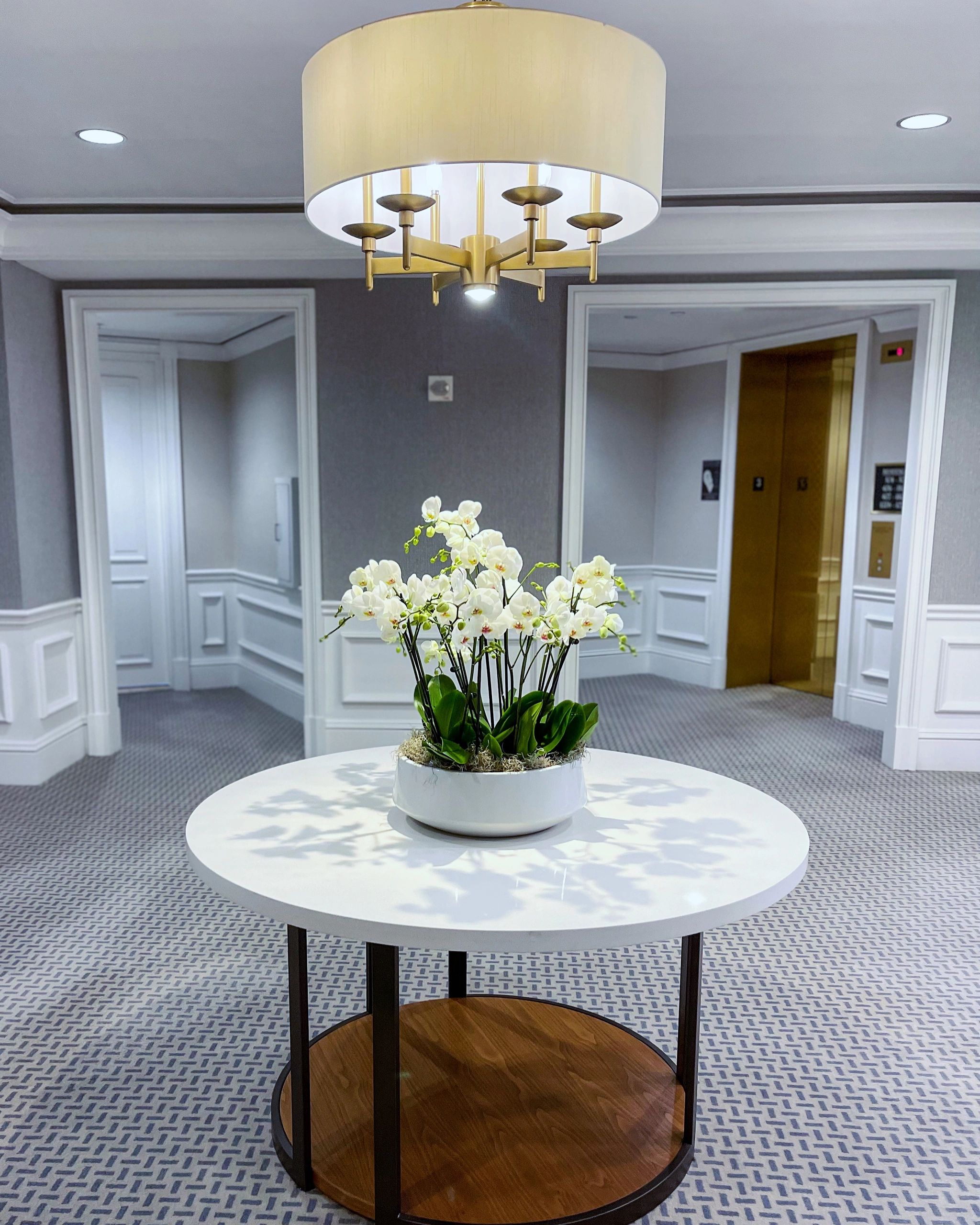 Made-to-order orchid centerpiece for a Sarasota event