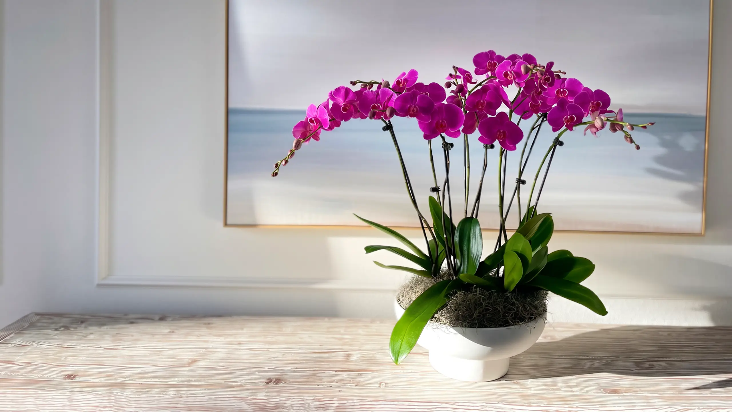 Custom orchid arrangements hand-designed by The Orchid Lady in Sarasota