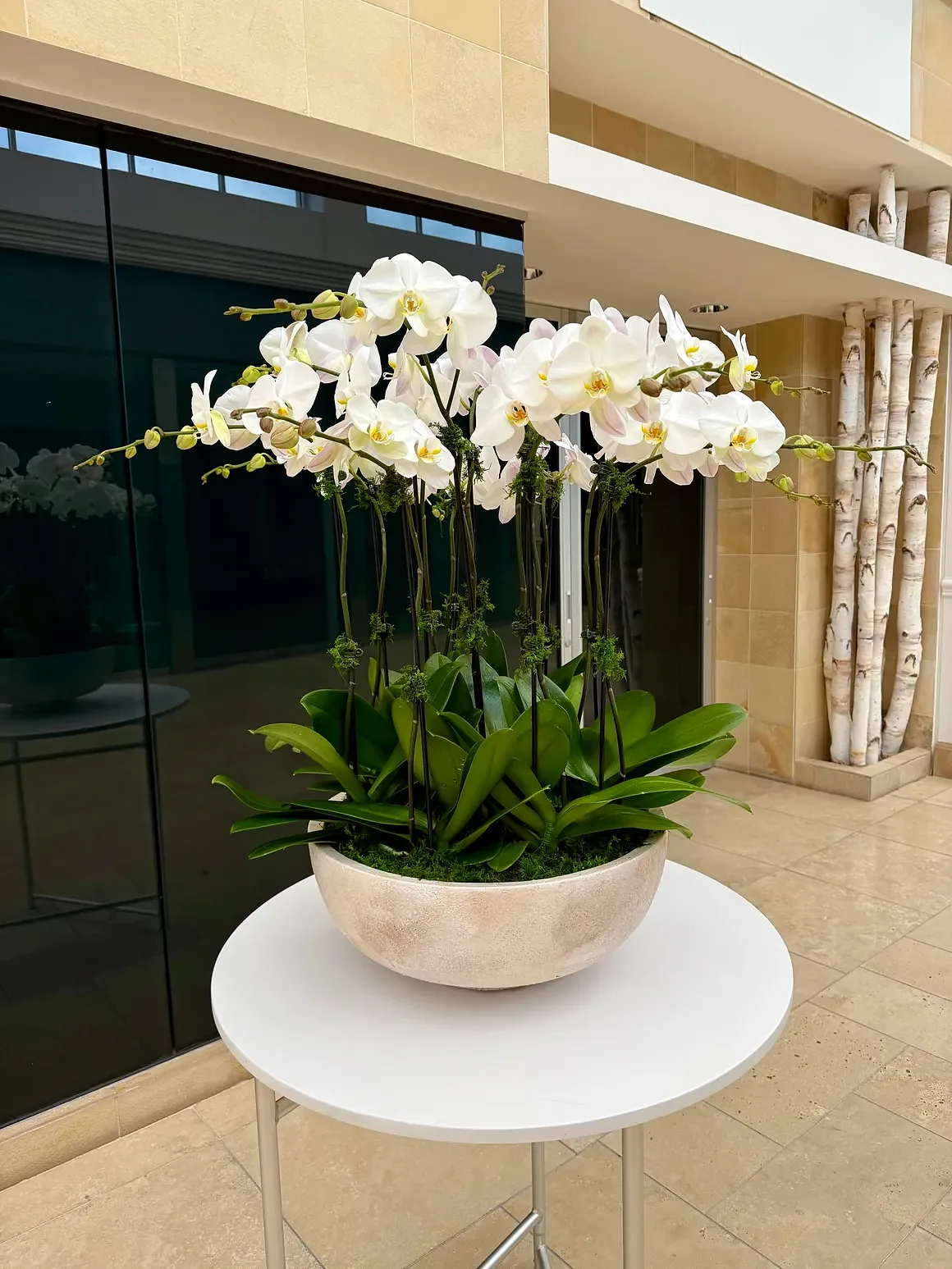 White orchid arrangement in a tan stone bowl, by The Orchid Lady in Sarasota