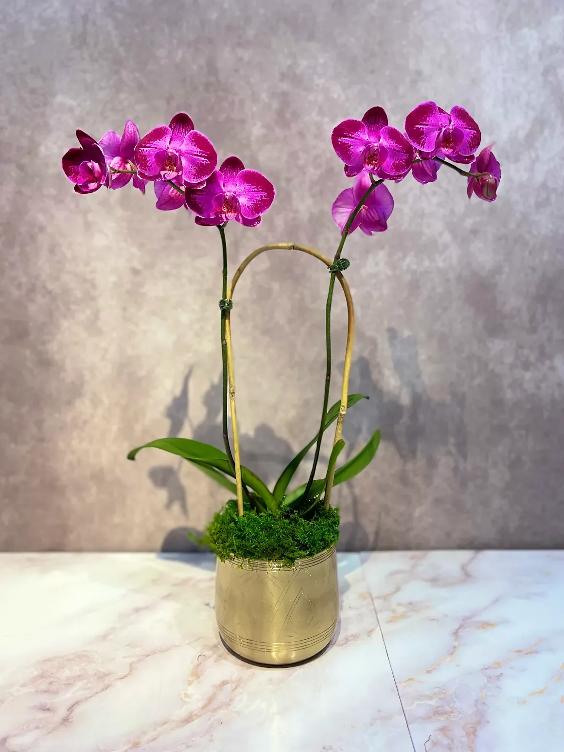 Magenta orchid arrangement in a gold/brass footed bowl, by The Orchid Lady in Sarasota