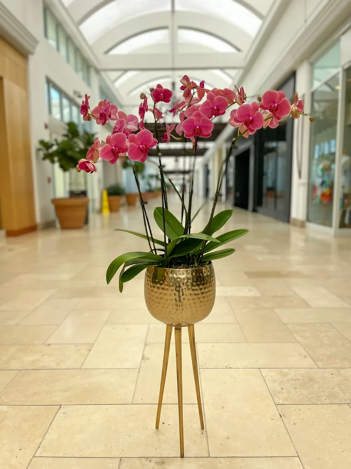 Pink orchid arrangement in a brass footed pot, by The Orchid Lady in Sarasota