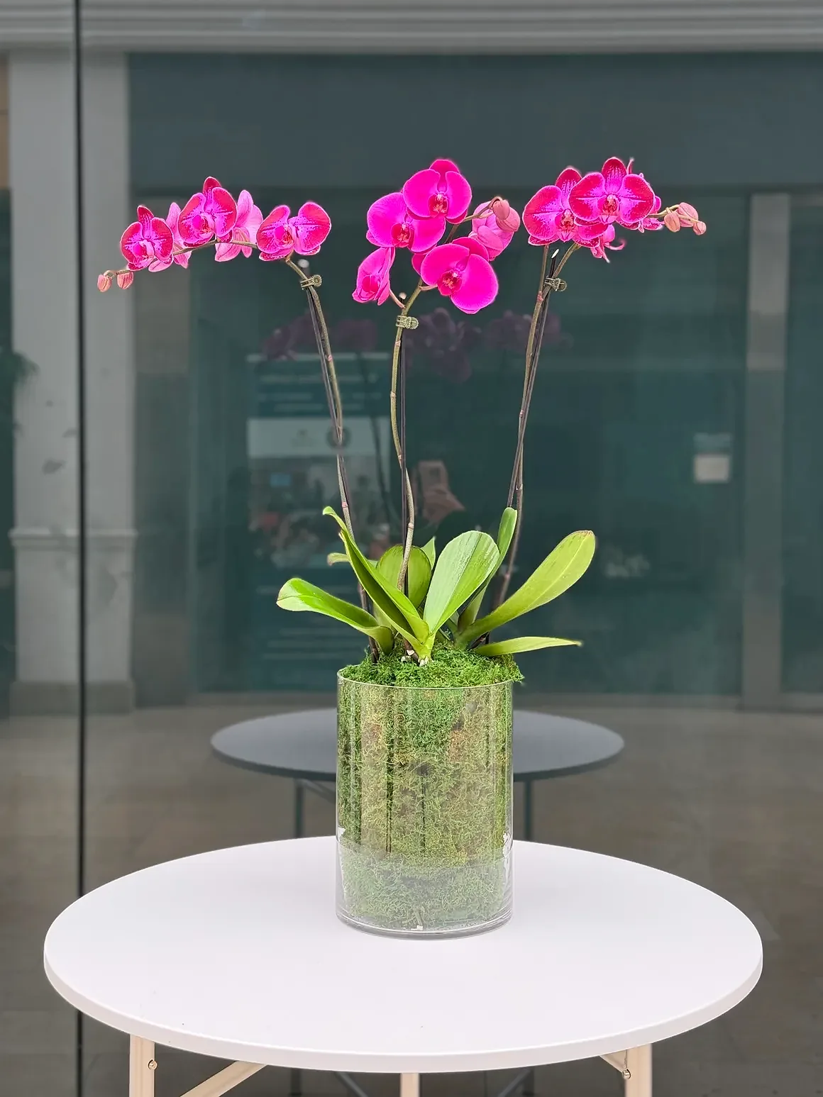 Magenta orchid arrangement in a green glass cylinder vase, by The Orchid Lady in Sarasota