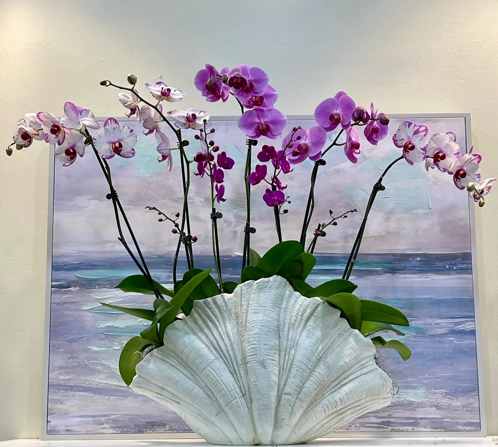 Purple orchid arrangement in a white clam-shell container, by The Orchid Lady in Sarasota