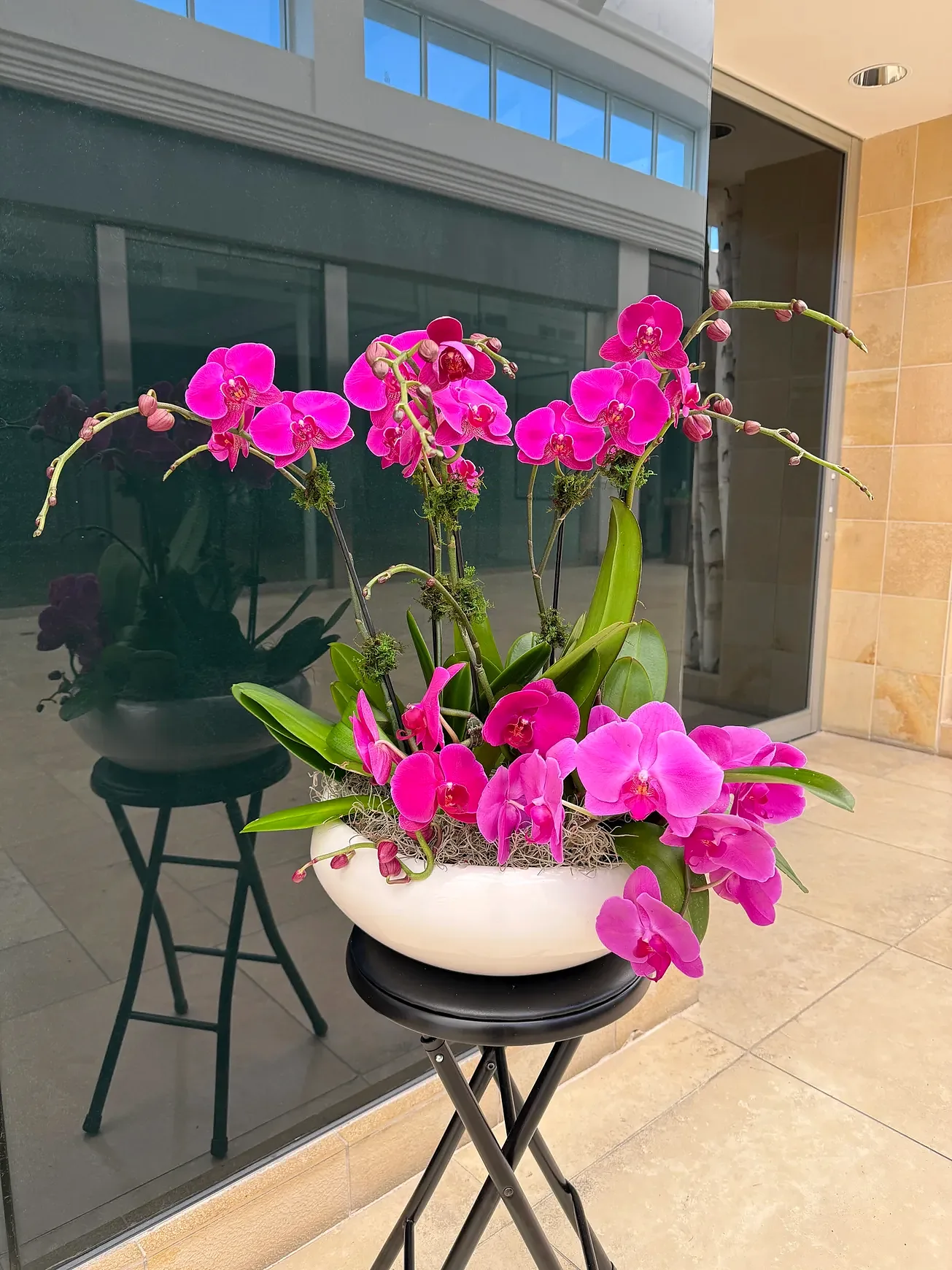 Magenta orchid arrangement in a white bowl, by The Orchid Lady in Sarasota