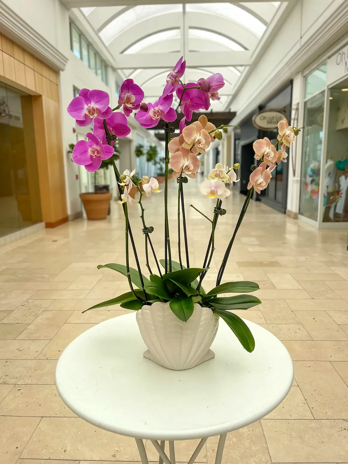 Magenta orchid arrangement in a white fluted pot, by The Orchid Lady in Sarasota