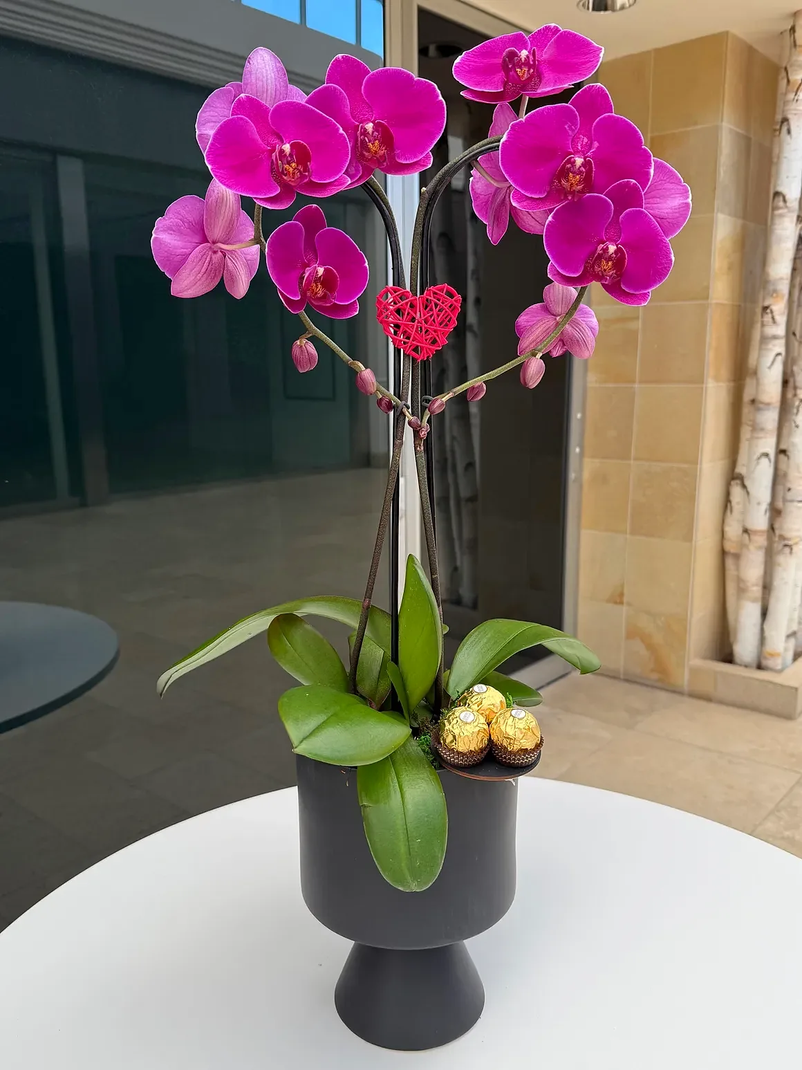 Magenta orchid plant in a charcoal pedestal pot, by The Orchid Lady in Sarasota