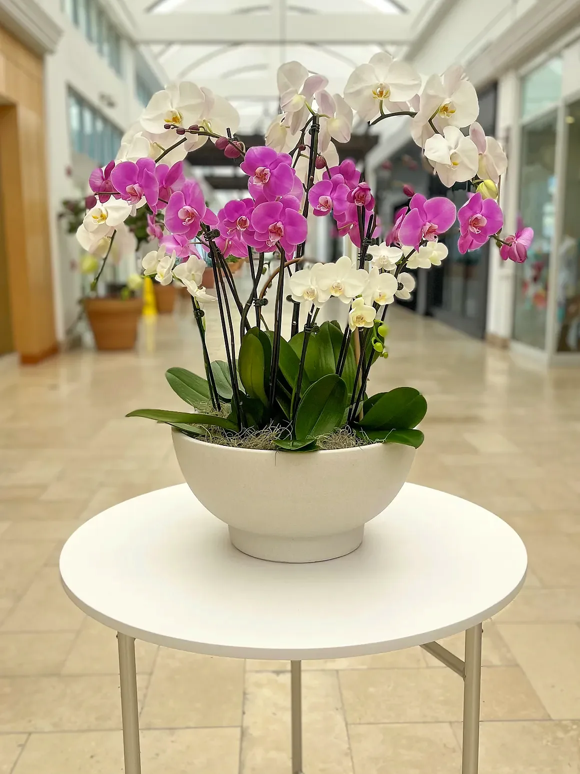 Magenta orchid arrangement in a white bowl, by The Orchid Lady in Sarasota
