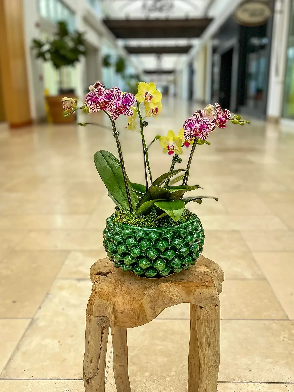 Pink orchid arrangement in a green textured spherical pot, by The Orchid Lady in Sarasota