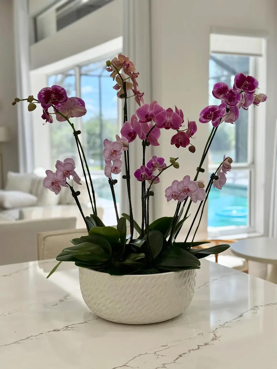 Burgundy orchid arrangement in a white textured bowl, by The Orchid Lady in Sarasota