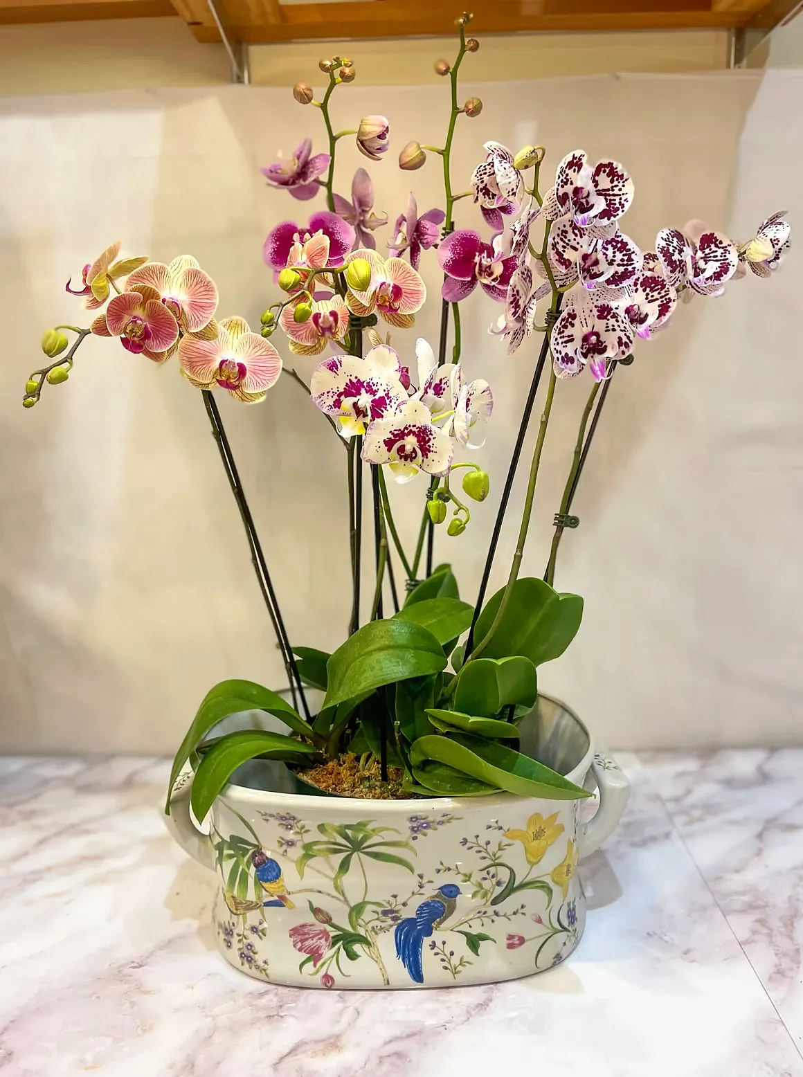 Magenta orchid arrangement in a painted floral oval planter, by The Orchid Lady in Sarasota