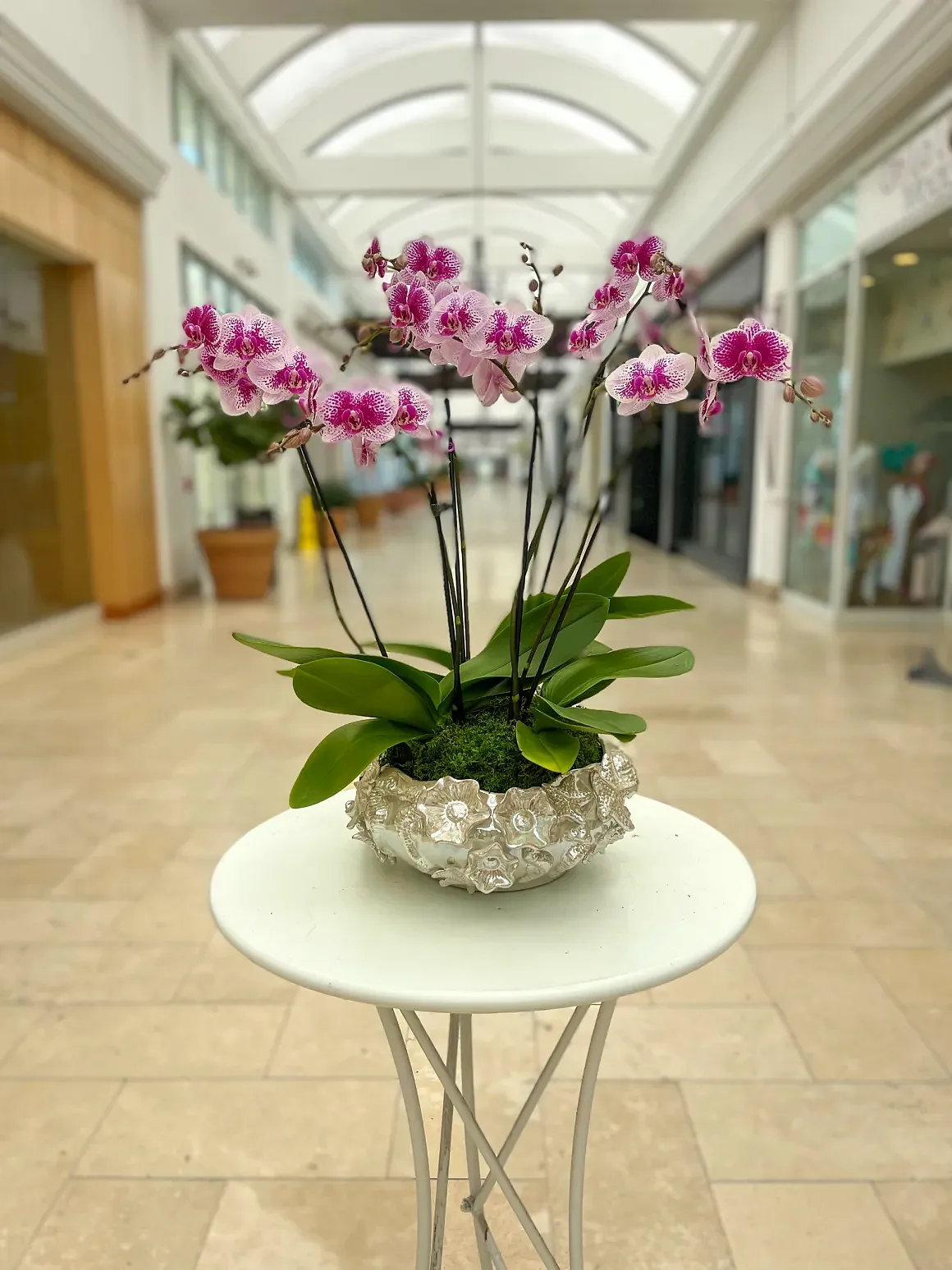 Pink orchid arrangement in a silver mercury-glass textured bowl, by The Orchid Lady in Sarasota