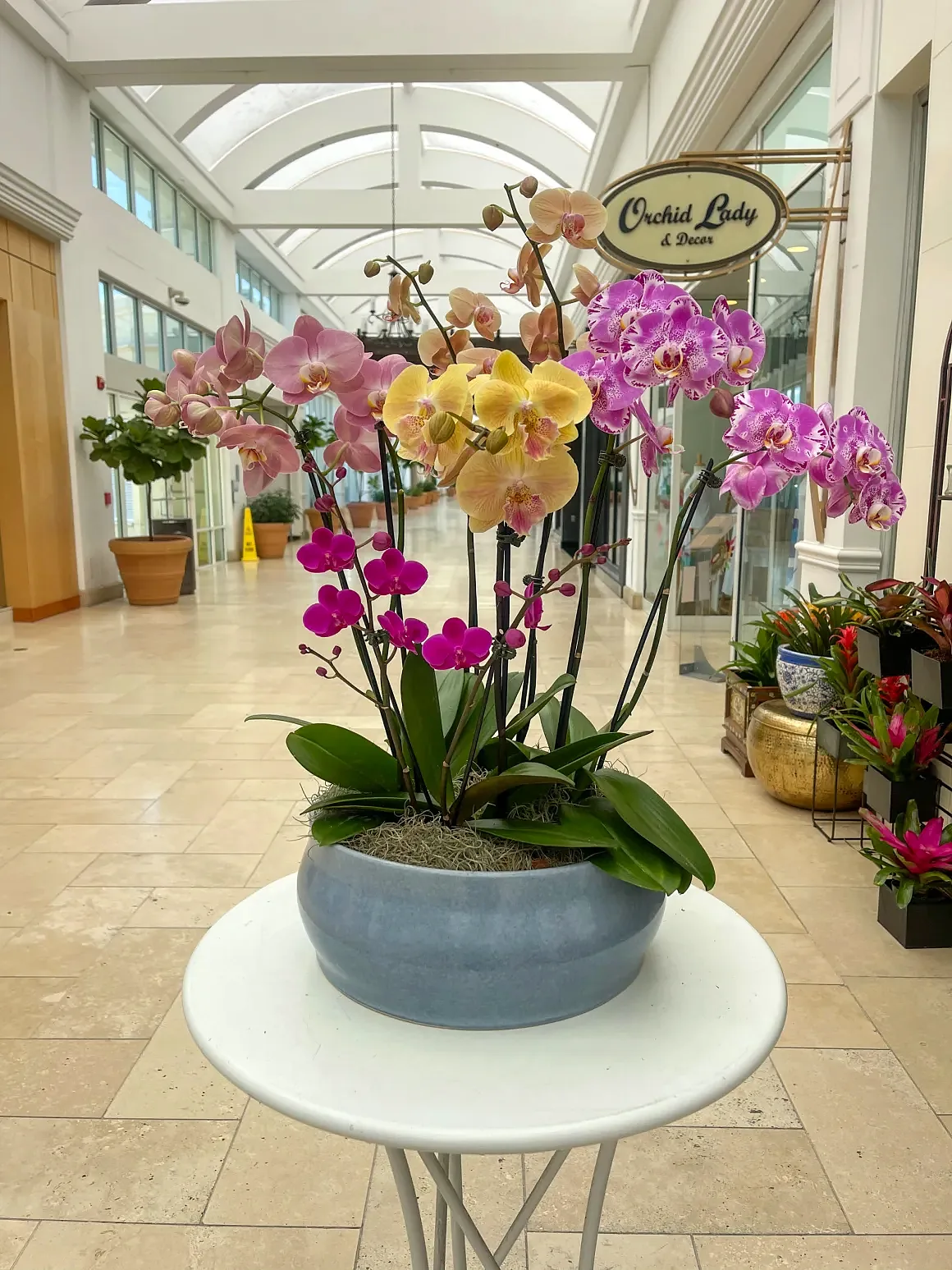 Peach orchid arrangement in a blue-grey low bowl, by The Orchid Lady in Sarasota