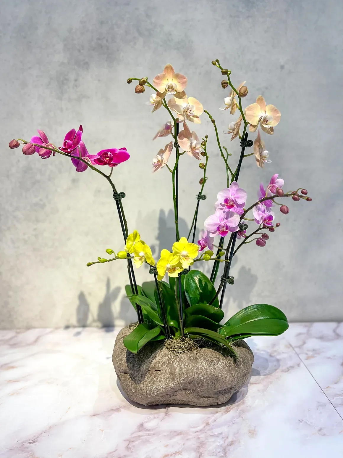 Pink orchid arrangement in a stone/nest-textured pot, by The Orchid Lady in Sarasota