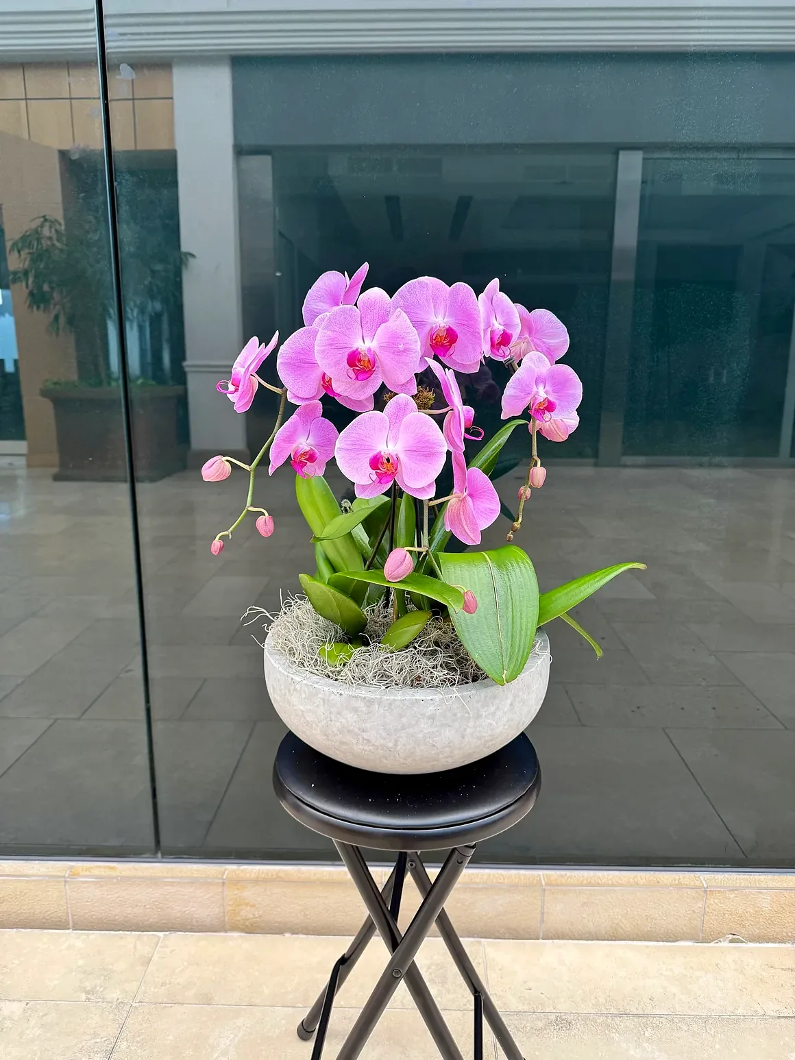 Pink orchid arrangement in a grey stone pot, by The Orchid Lady in Sarasota