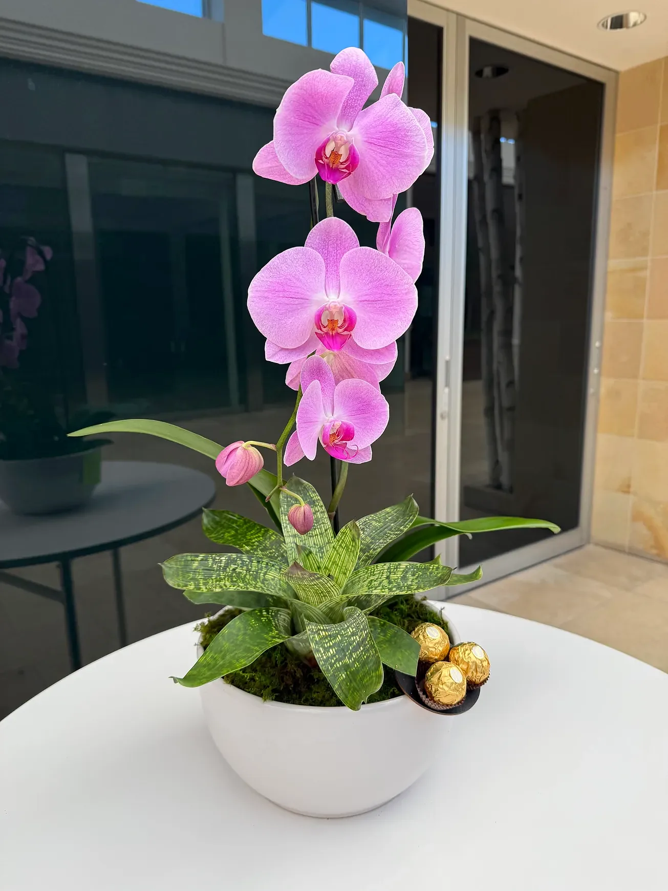 Pink orchid plant in a white bowl with chocolates, by The Orchid Lady in Sarasota