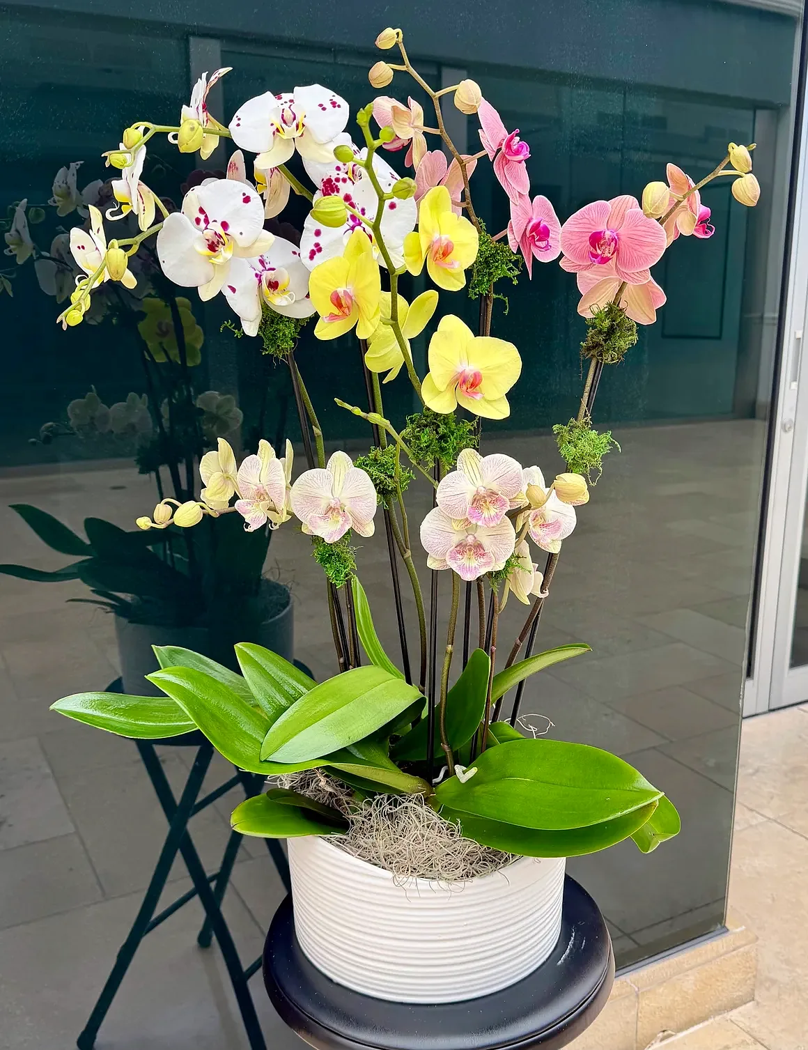 White orchid arrangement in a white ribbed pot, by The Orchid Lady in Sarasota