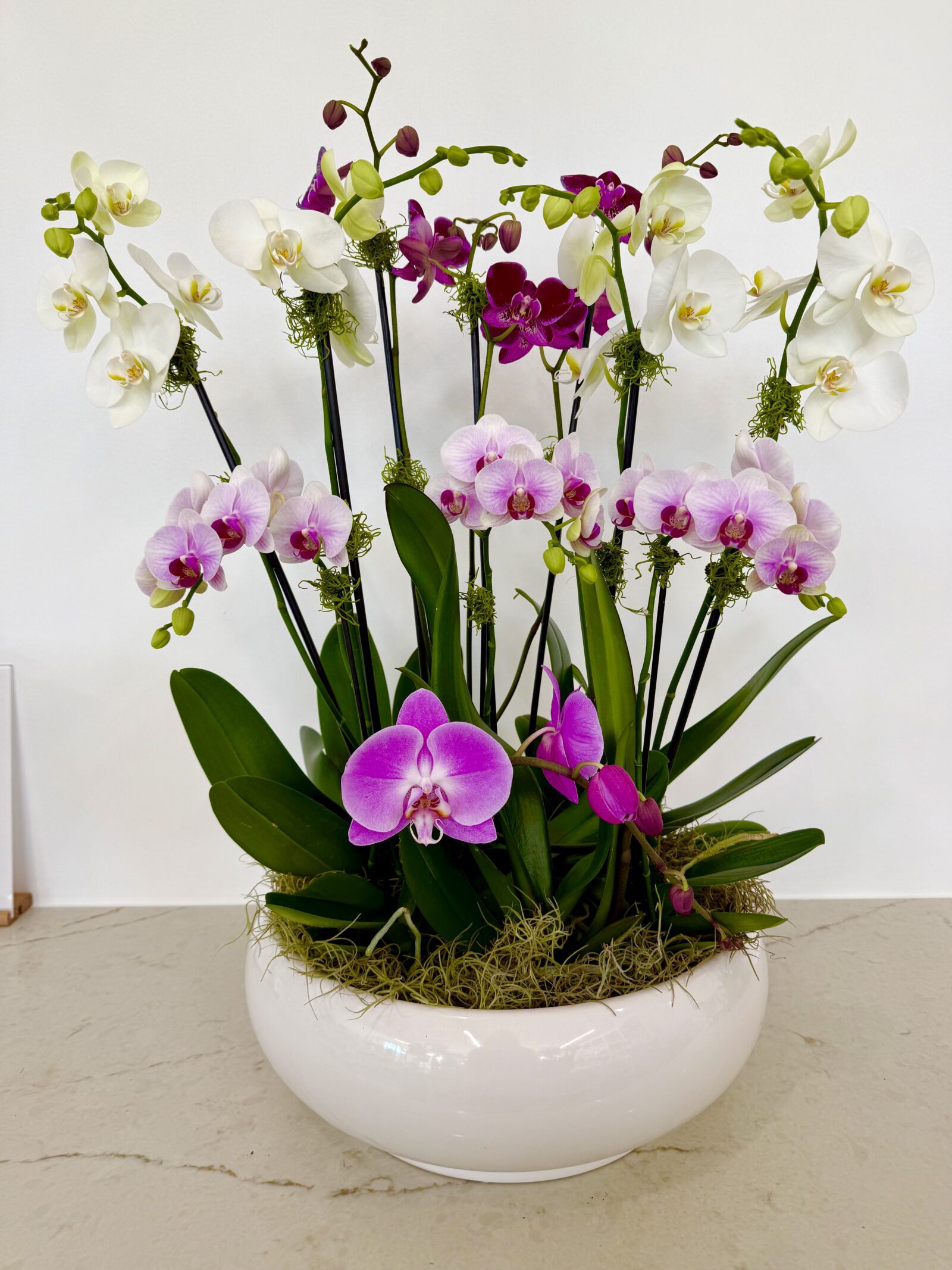 Mixed orchid arrangement with white, blush, and magenta blooms in a round white bowl
