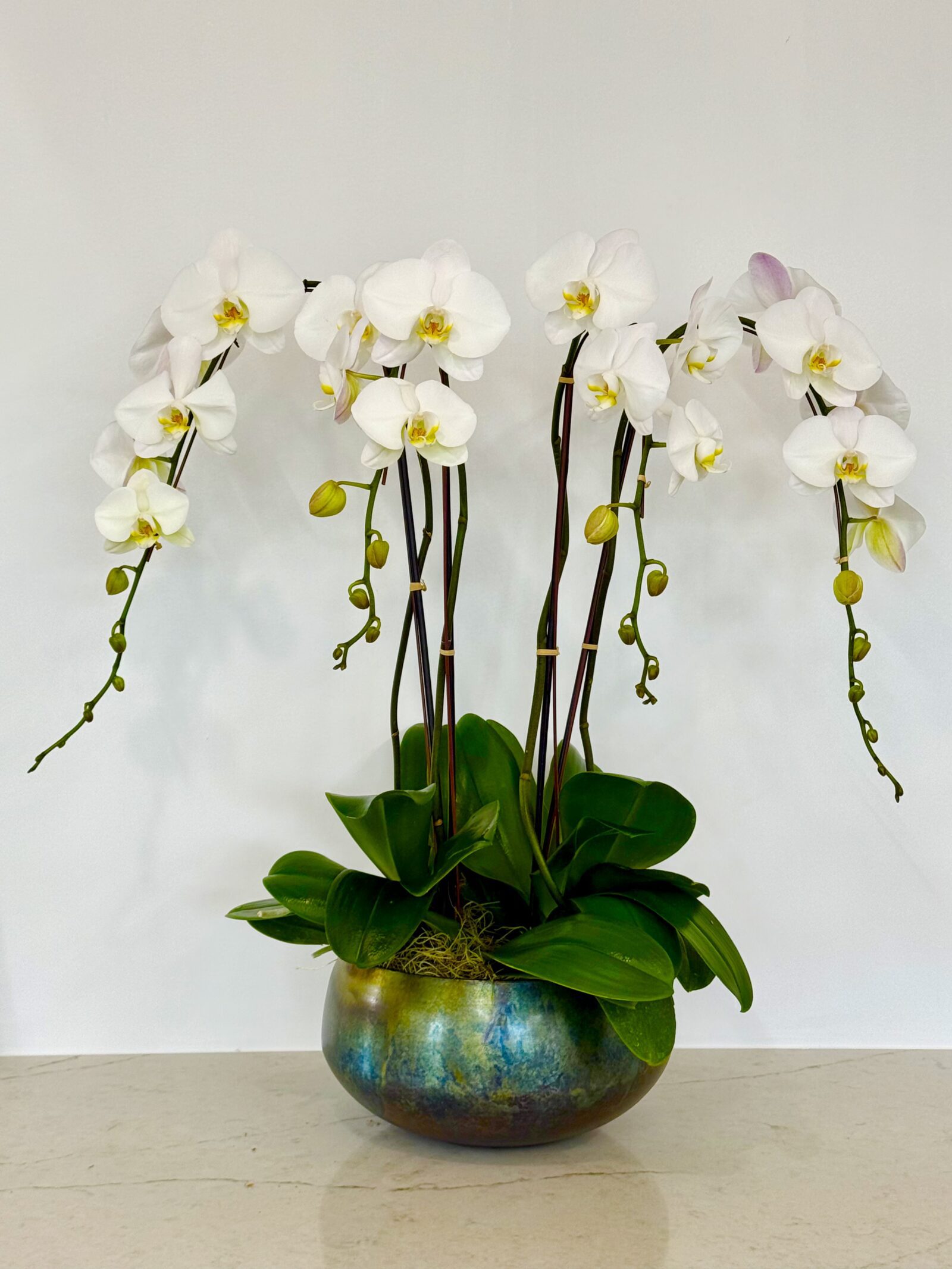 White orchid arrangement in an iridescent bronze bowl, by The Orchid Lady in Sarasota